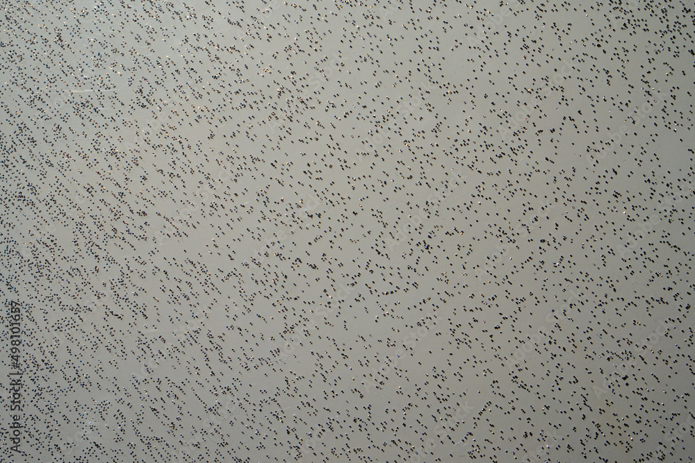 specific background in my studio specific background in my studio