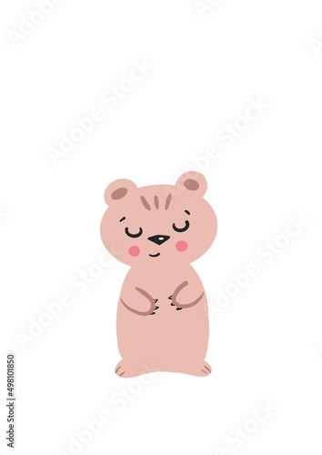 Cute bear  lovely bear  teddy bear