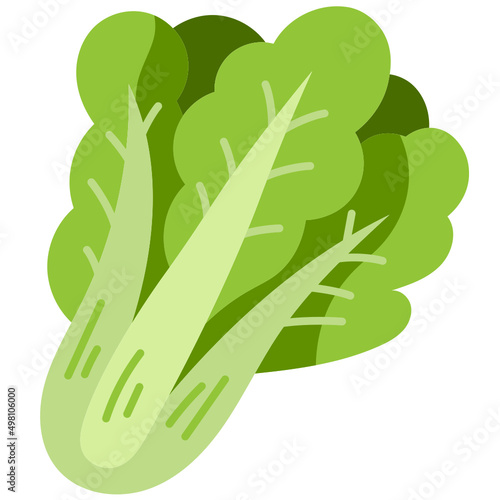 spinach flat icon