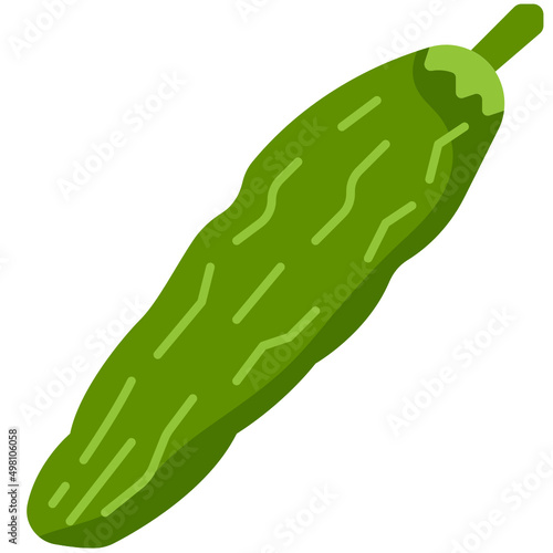 bitter gourd flat icon