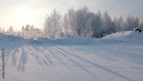 Scenic snow field in winter, frozen nature. Creative. Winter landscape with frosty bushes and trees in the sunny morning, tranquil winter nature in sunlight.