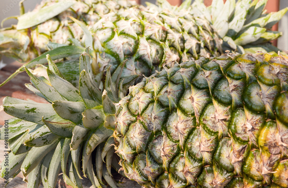 Obraz premium Fresh pineapple close up. Background.