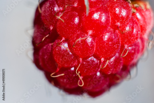 Red ripe raspberry on a white background. Wild berry close-up.