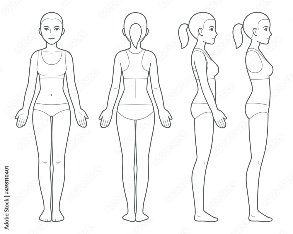 Female body chart template - obrazy, fototapety, plakaty 