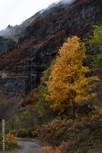 Paisajes otoñales del Pirineo