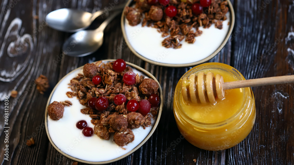 Healthy breakfast. Chocolate crunches with yogurt, honey and berries. Healthy breakfast. Chocolate crunches with yogurt, honey and berries.
