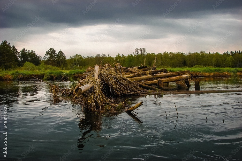destroyed wooden bridge on the river
