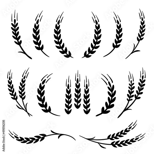 wheat and barley  rye stalks set icons