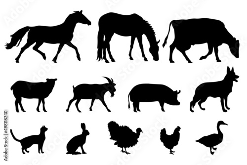 Set of silhouettes of domestic farm animals Fototapet
