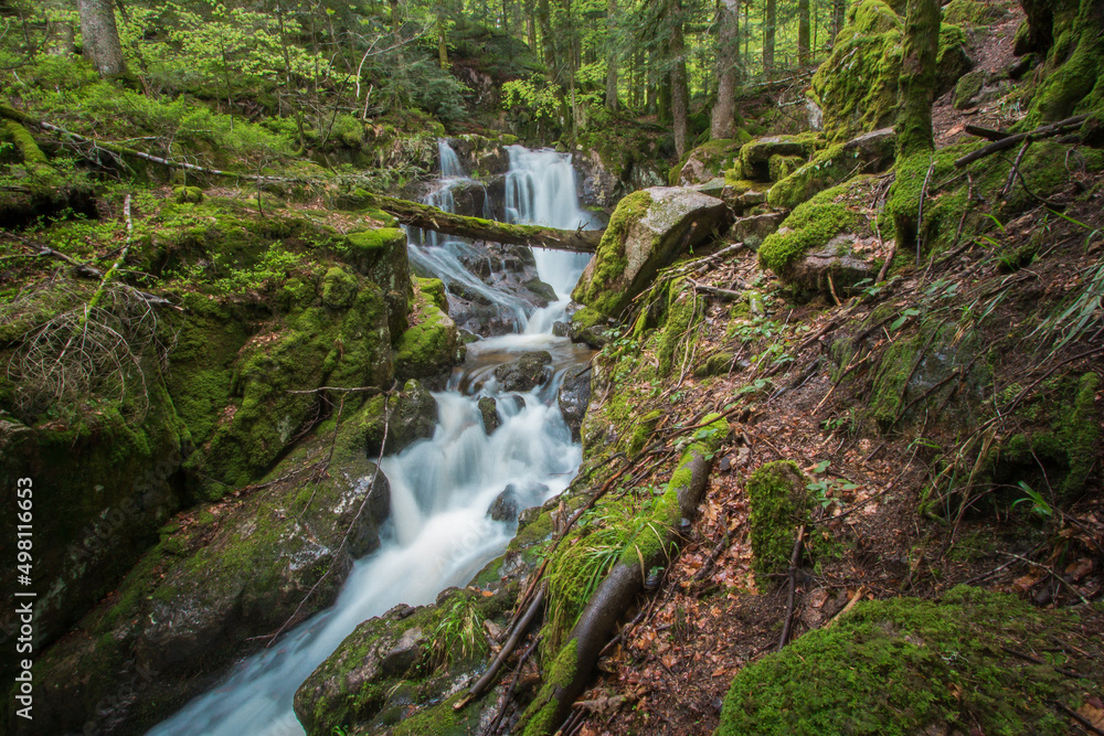 Fototapeta premium La cascade du Rummel est une chute d'eau du massif des Vosges située sur la commune de Lepuix dans le territoire de Belfort.
