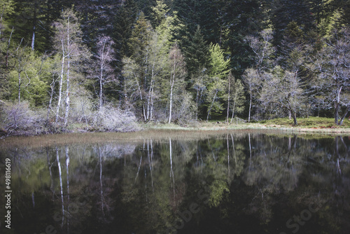 arbres au printemps se reflétant dans un lac aux eaux sombres