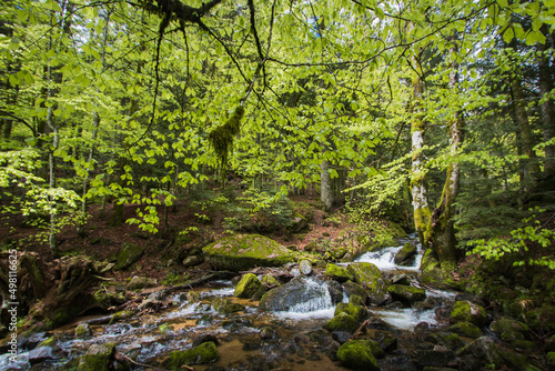 La cascade du Rummel est une chute d'eau du massif des Vosges située sur la commune de Lepuix dans le territoire de Belfort.

 photo