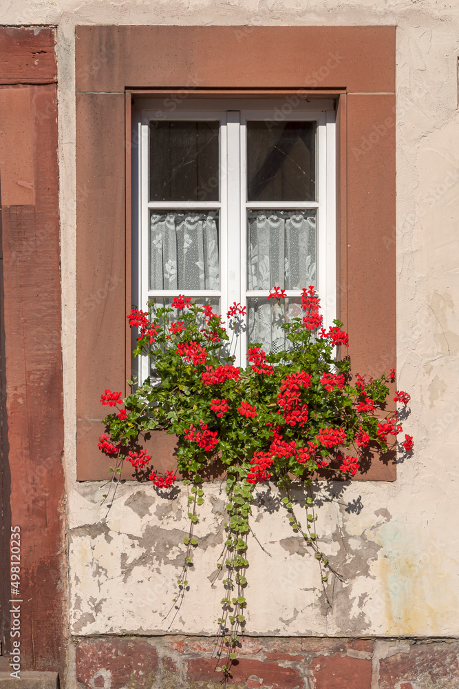 Kleines Fenster mit Blumenschmuck