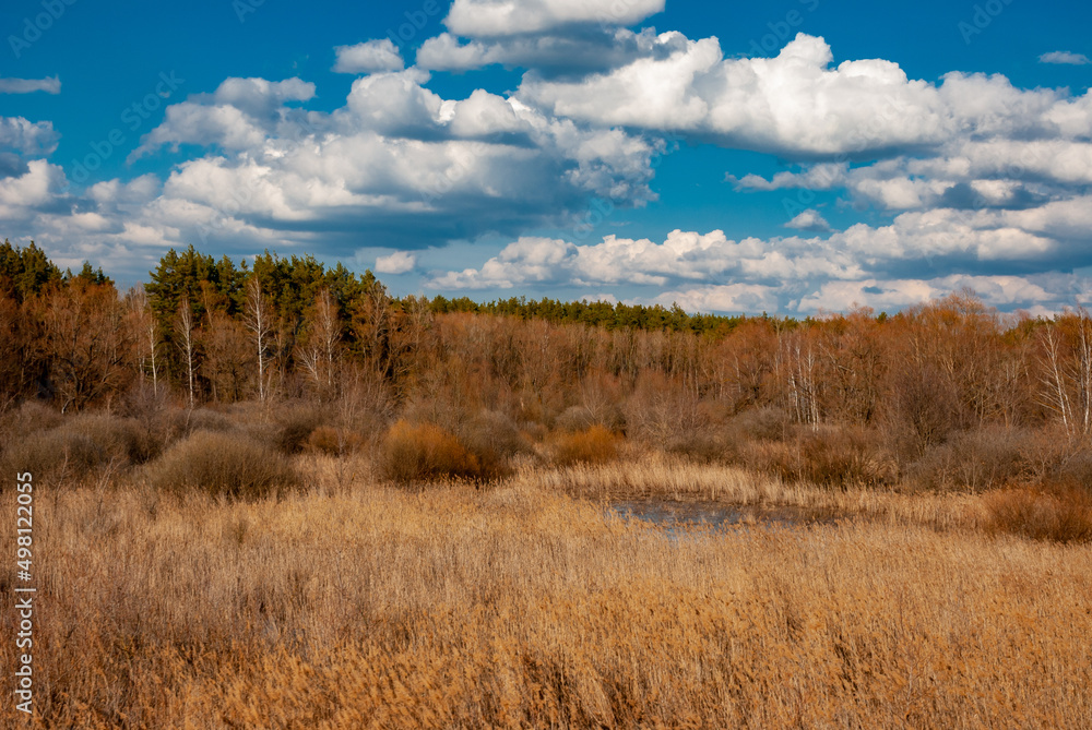 A sunny April day in Samarskaya Luka National Park! A sunny April day in Samarskaya Luka National Park!