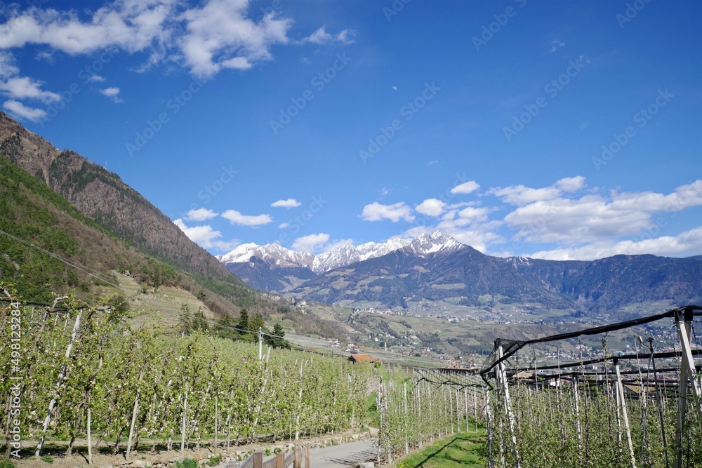 Etschtal im Vinschgau