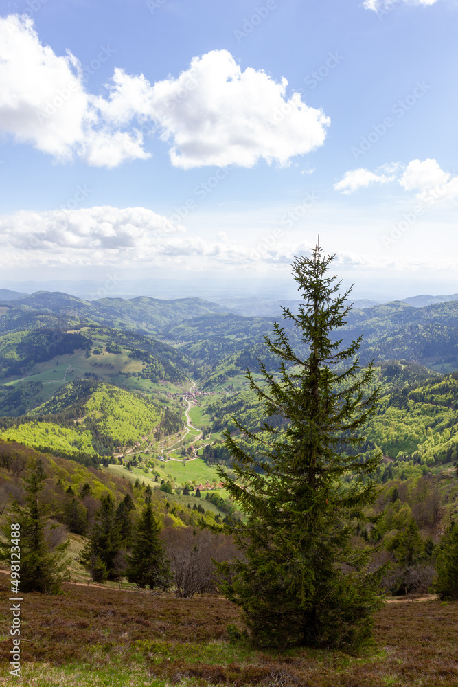 Germany Belchen Mountain View