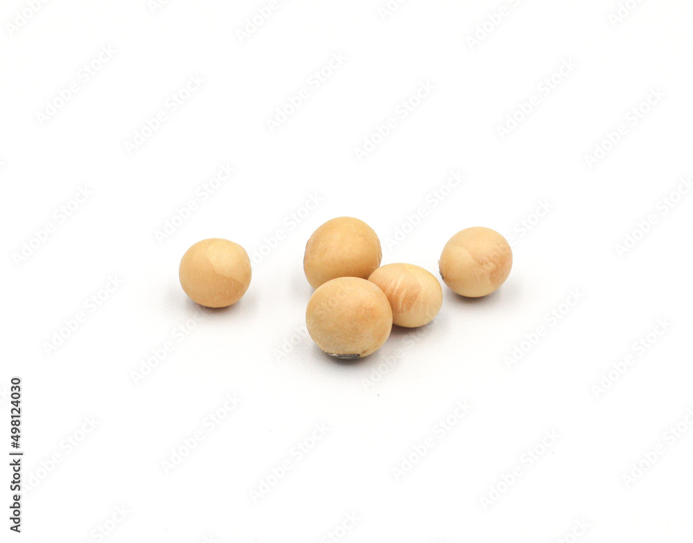 soybean seeds isolated on white background soybean seeds isolated on white background