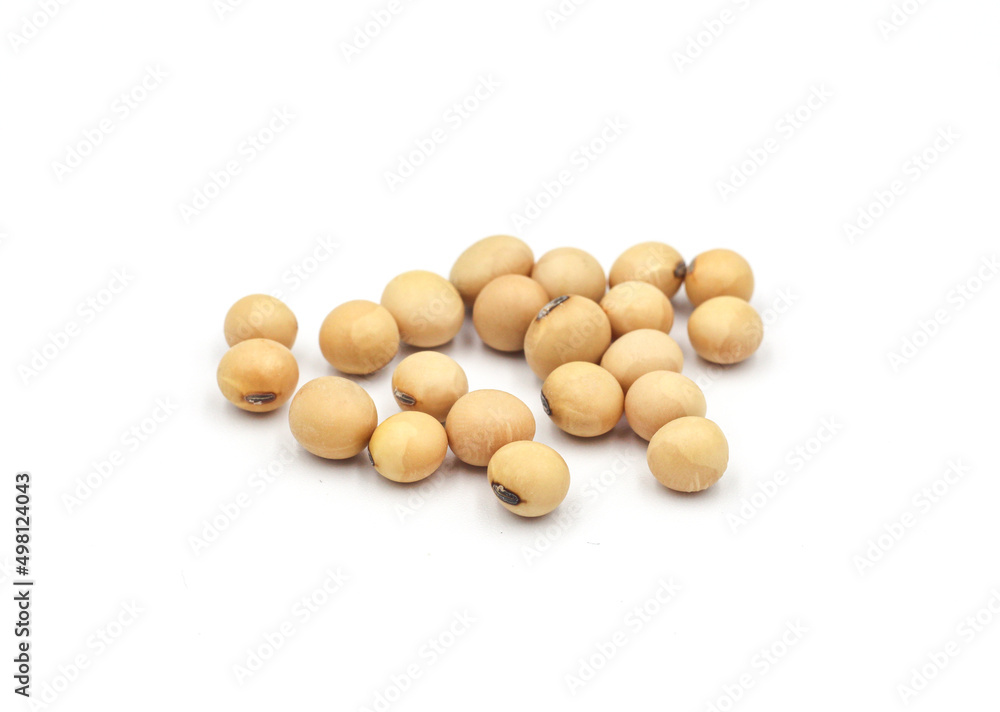 soybean seeds isolated on white background soybean seeds isolated on white background