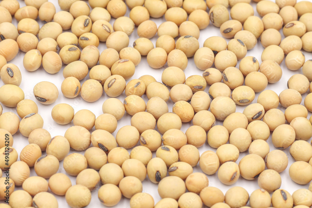 Close-up shot on a background of a pile of dried soybeans. for product advertisement Close-up shot on a background of a pile of dried soybeans. for product advertisement