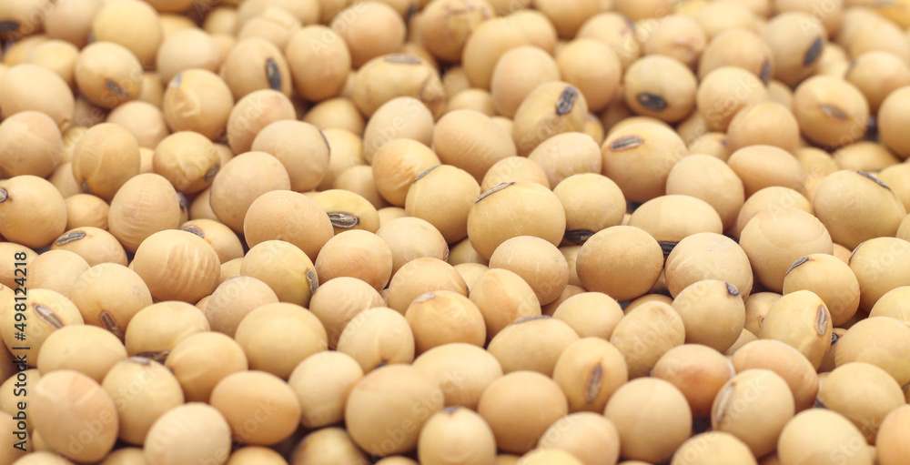 Close-up shot on a background of a pile of dried soybeans. for product advertisement Close-up shot on a background of a pile of dried soybeans. for product advertisement
