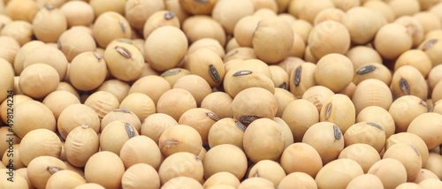Close-up shot on a background of a pile of dried soybeans. for product advertisement
