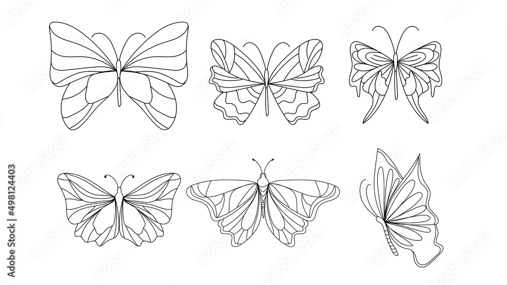 Set of butterflies outlines. Hand drawn illustration converted to vector .isolated on white background ,Vector illustration EPS 10