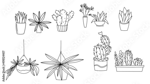 Set cactus hand drawn lines .isolated on white background ,Vector illustration EPS 10