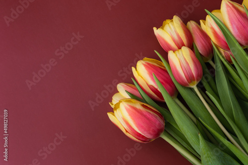 Fototapeta Naklejka Na Ścianę i Meble -  Elegant bouquet of beautiful fresh tulips on a burgundy background
