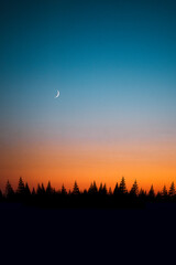 Poster Zwart Zonsondergang boven mystiek bos  © Andrey