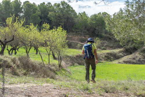 Rear view at a male hiker walking through a green field in spring.