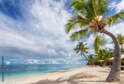 Fototapeta Naklejka Na Ścianę i Meble -  Palm trees in tropical sunny beach resort in Paradise island.