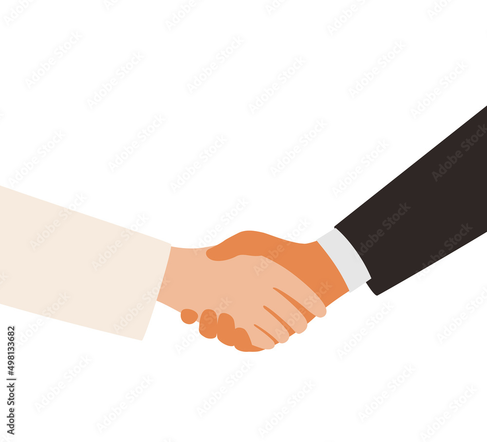 lady and man shaking hands, vector illustration lady and man shaking hands, vector illustration
