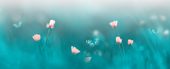 Pink wild flowers and butterflies. Spring summer background. Banner format.