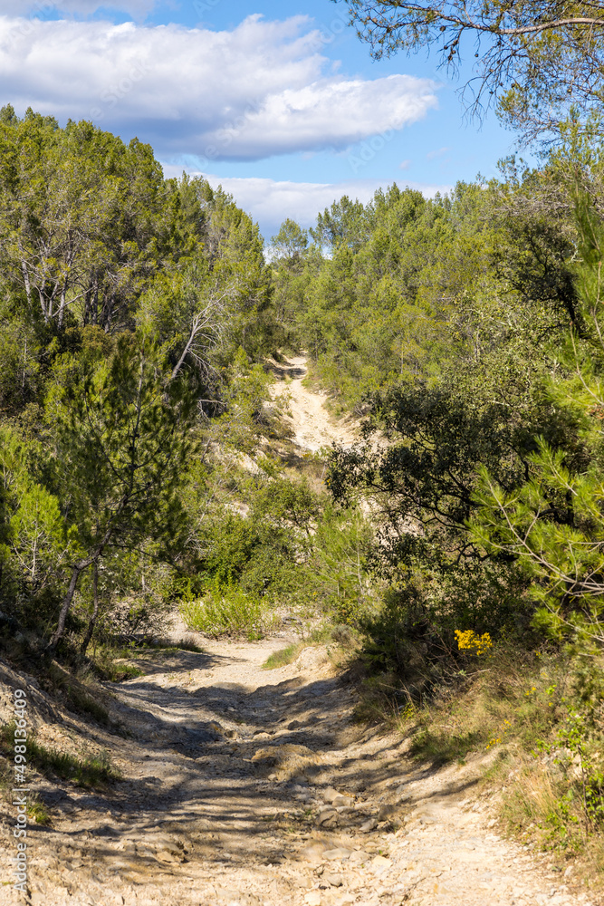Chemin de randonnée du Bois de Lèque près du village des Matelles (Occitanie, France) Chemin de randonnée du Bois de Lèque près du village des Matelles (Occitanie, France)