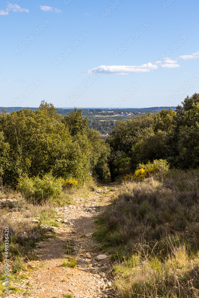 Obraz premium Chemin de randonnée du Bois de Lèque près du village des Matelles (Occitanie, France)