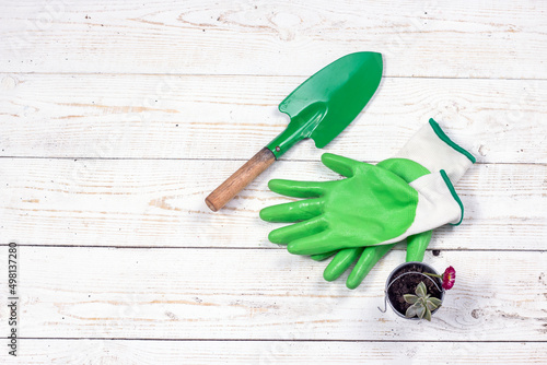 Small shovel, glove and plant in little metal bucket on white wooden background. spring gardening concept with copy space.