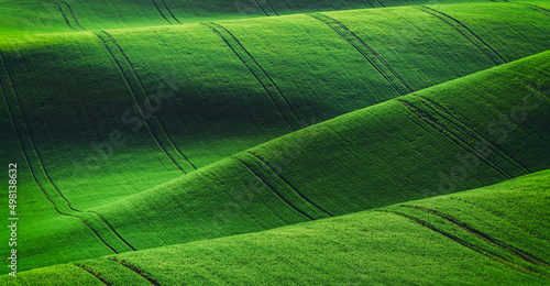 Foto Rural spring agriculture texture background
