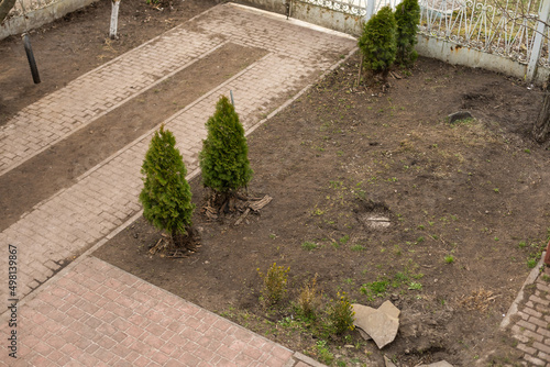 Overgrown cluttered messy Garden example