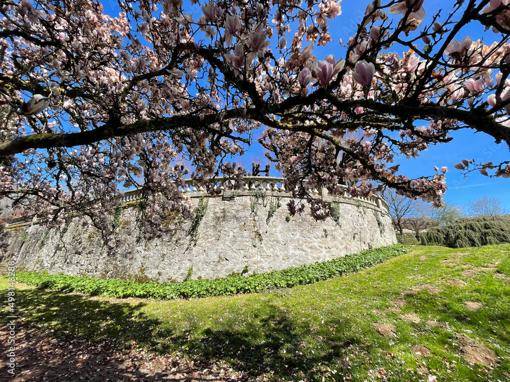 Parc au printemps