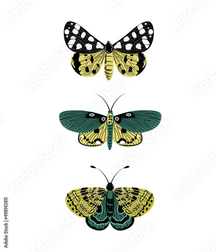 Set of vector images of icons of different-colored butterflies of different types in flat style.