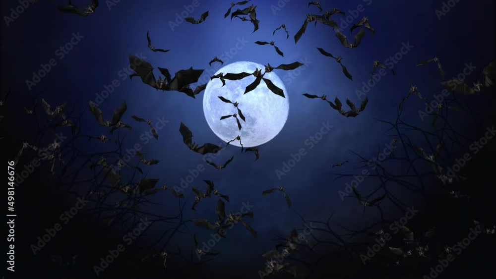 Halloween background animation with the concept of blue sky, moon, fog, flying bats. Scary night of halloween. Night of halloween blue sky background animation