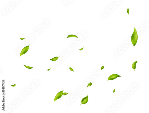 Green leaves wave. Fresh tea background. Flying foliage ornament on white background. Beauty product. Leaf falling. Vegan, eco, organic design element. Cosmetic pattern border. Vector illustration