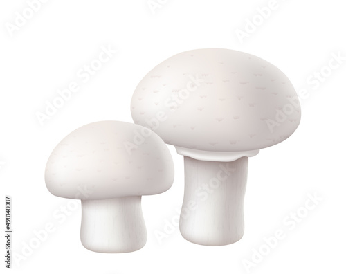 Realistic champignon mushroom isolated on white background. Cremini whole portobello