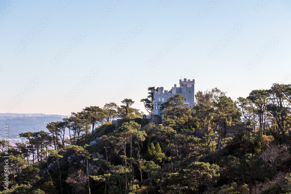 Castle, wealthy house surrounded by idyllic green winter forest in southern Europe