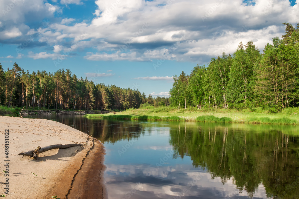 picturesque view of the sandy beach of a quiet forest river picturesque view of the sandy beach of a quiet forest river