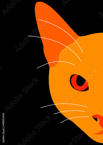 Illustration of the face of an orange cat on black background.