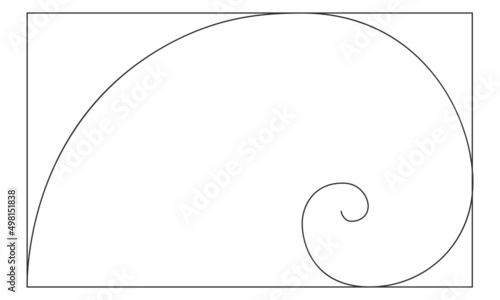 Golden ratio logarithmic spiral in rectangle frame. Harmony nature ideal proportions template. Nautilus shell shape. Leonardo Fibonacci sequence sign. Symmetry symbol. Vector outline illustration