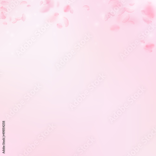 Sakura petals falling down. Romantic pink flowers gradient. Flying petals on pink square background. Love, romance concept. Amazing wedding invitation.