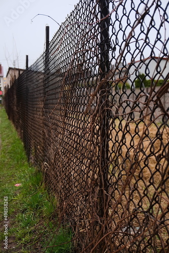 an old fence mesh overgrown with a dry vine