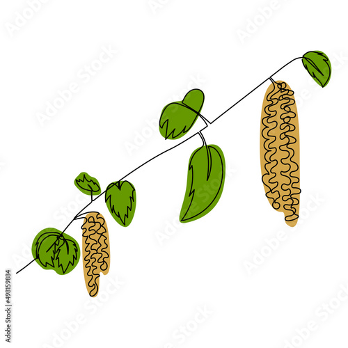 Continuous one line drawing of birch catkins. Vector illustration